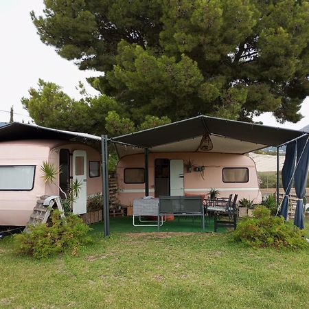 Caravana- Glamping Casa Tortuga La Nucía 外观 照片